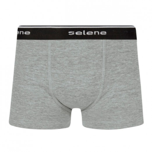 Cueca Boxer Infantil P Cinza Mescla PP Selene